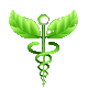Logo Cuerpo y Salud